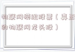 物联网模组股票（真正的物联网龙头股）