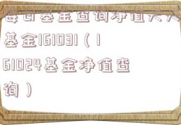 每日基金查询净值天天基金161031（161024基金净值查询）