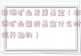 非洲矿业发展基金（非洲矿业国投基金什么时候开始的）
