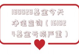 180028基金今天净值查询（161024基金亏损严重）