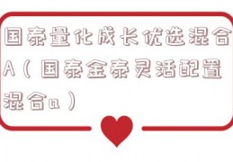 国泰量化成长优选混合A（国泰金泰灵活配置混合a）