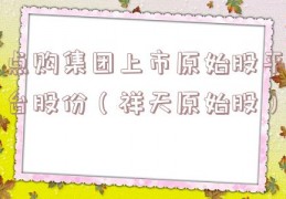 点购集团上市原始股平台股份（祥天原始股）