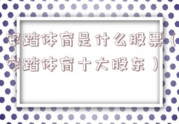 安踏体育是什么股票（安踏体育十大股东）