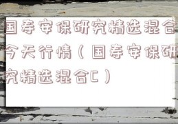 国寿安保研究精选混合今天行情（国寿安保研究精选混合C）