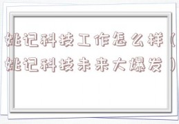 姚记科技工作怎么样（姚记科技未来大爆发）