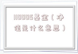 110005基金（净值是什么意思）