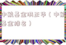 中航基金洪正华（中航基金排名）