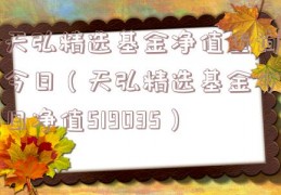 天弘精选基金净值查询今日（天弘精选基金今日净值519035）
