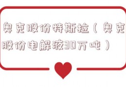 奥克股份特斯拉（奥克股份电解液30万吨）