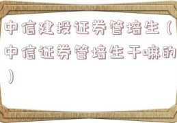 中信建投证券管培生（中信证券管培生干嘛的）
