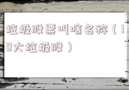 垃圾股票叫啥名称（10大垃圾股）