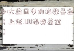 和大盘同步的指数基金（上证100指数基金）