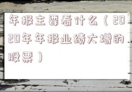 年报主要看什么（2020年年报业绩大增的股票）