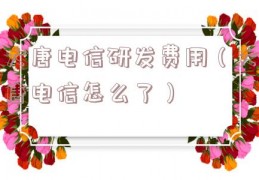 大唐电信研发费用（大唐电信怎么了）