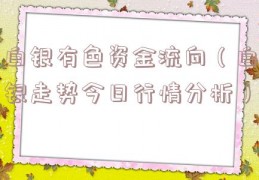 白银有色资金流向（白银走势今日行情分析）