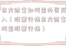 东方财富如何查外资买入（股票行情东方财富网查股票行情）