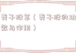 剪子股草（剪子股的功效与作用）