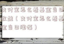 支付宝怎么看基金当日收益（支付宝怎么看基金当日涨幅）