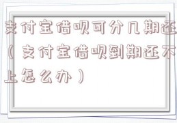 支付宝借呗可分几期还（支付宝借呗到期还不上怎么办）