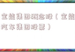宝能集团概念股（宝能汽车集团股票）