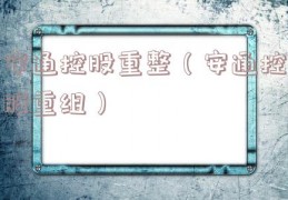 安通控股重整（安通控股重组）