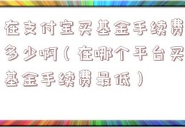 在支付宝买基金手续费多少啊（在哪个平台买基金手续费最低）