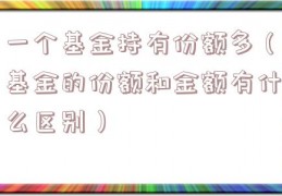 一个基金持有份额多（基金的份额和金额有什么区别）