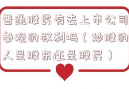 普通股民有去上市公司参观的权利吗（炒股的人是股东还是股民）