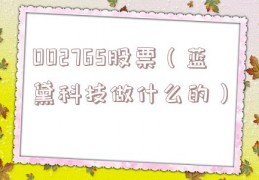 002765股票（蓝黛科技做什么的）