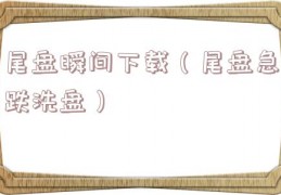 尾盘瞬间下载（尾盘急跌洗盘）