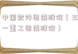 中国软件目前股价（三一重工目前股价）