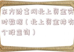 东方财富网北上资金实时数据（北上资金持有个股查询）