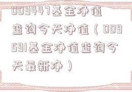 009447基金净值查询今天净值（009591基金净值查询今天最新净）