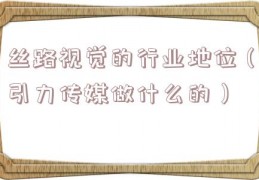 丝路视觉的行业地位（引力传媒做什么的）