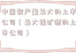 中国银产量最大的上市公司（最大镍矿源的上市公司）