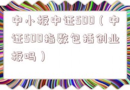 中小板中证500（中证500指数包括创业板吗）