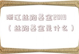 浙江丝路基金2019（丝路基金是什么）
