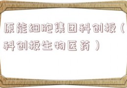 原能细胞集团科创板（科创板生物医药）