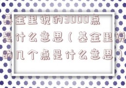 基金里说的3000点是什么意思（基金里说的几个点是什么意思）