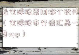 看全球股票用哪个软件（全球股市行情汇总一览app）