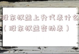 股东权益上升代表什么（股东权益变动表）