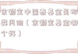 余额宝中国泰基金是那类风险（余额宝基金哪个好）