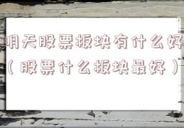 明天股票板块有什么好（股票什么板块最好）