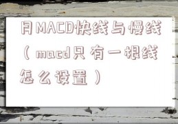 月MACD快线与慢线（macd只有一根线怎么设置）