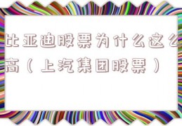 比亚迪股票为什么这么高（上汽集团股票）