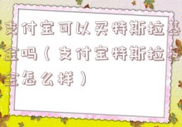 支付宝可以买特斯拉基金吗（支付宝特斯拉基金怎么样）