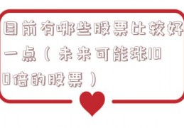 目前有哪些股票比较好一点（未来可能涨100倍的股票）