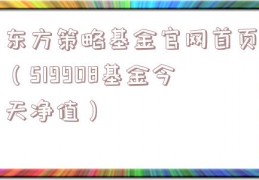 东方策略基金官网首页（519908基金今天净值）
