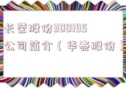 长荣股份300195公司简介（华泰股份）