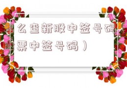怎么查新股中签号码（股票中签号码）